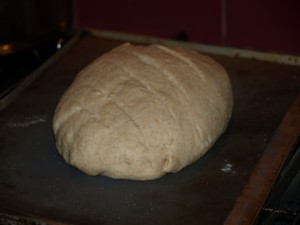 bread-proving
