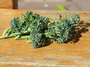 broccolli