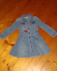 denim-dress-final denim-dress-final