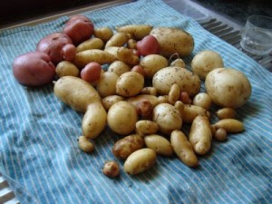 potatoes potatoes