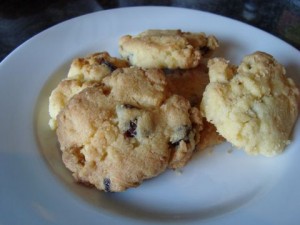 coconut-cranberry-biscuits